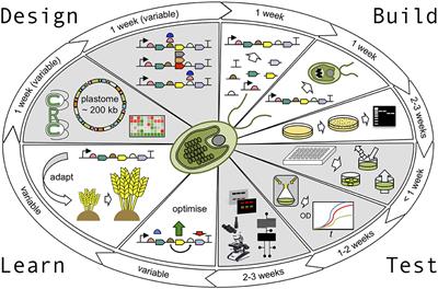 The Algal Chloroplast as a Testbed for Synthetic Biology Designs Aimed at Radically Rewiring Plant Metabolism